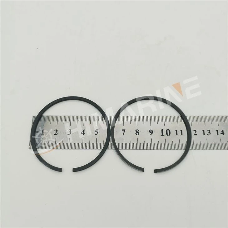 682116101100 PISTON RING SET